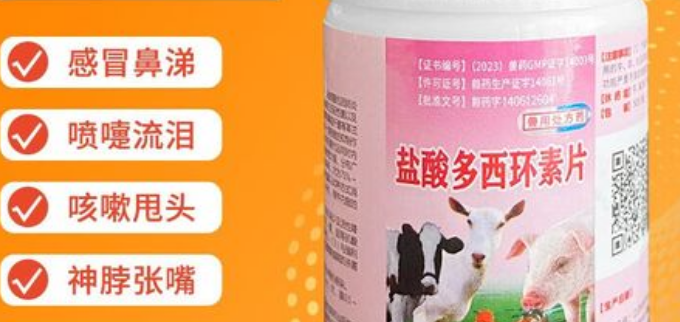 寵貝蒂的制造商與上海育路的關(guān)系解析
